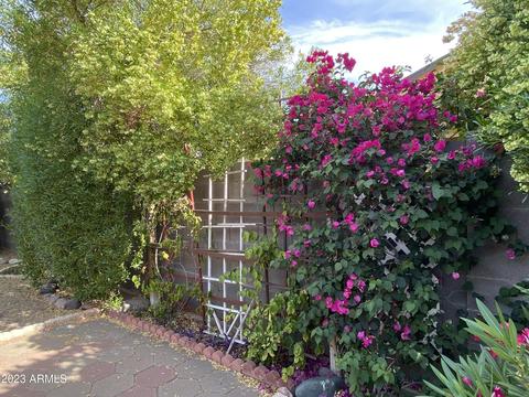 1407 E Mountain View Rd, Phoenix, AZ 85020 photo 32
