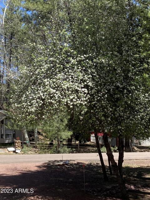 3958 N Apache Trl, Pine, AZ 85544 photo 3