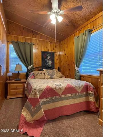 3958 N Apache Trl, Pine, AZ 85544 photo 23