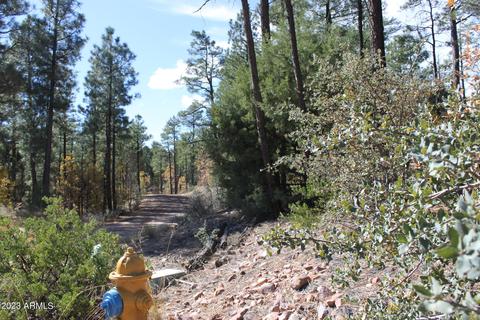1970 S Pleasant View Dr #431, Show Low, AZ 85901