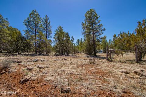64 E Riverside Dr #500, Williams, AZ 86046