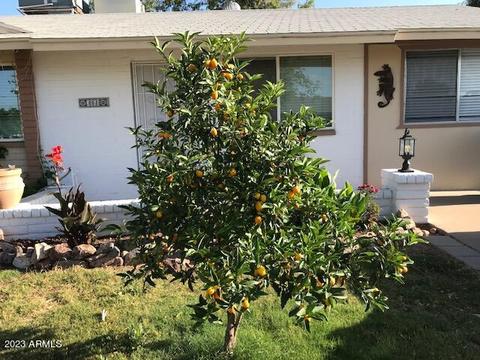 3860 W Acapulco Ln, Phoenix, AZ 85053 photo 4