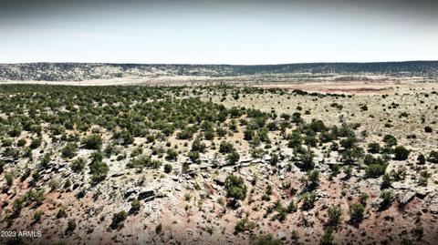 22 Country Ln #B8537, Concho, AZ 85924