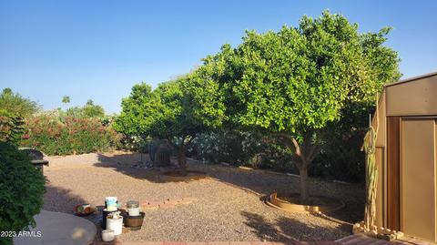 6117 E Anaheim St, Mesa, AZ 85205 photo 7