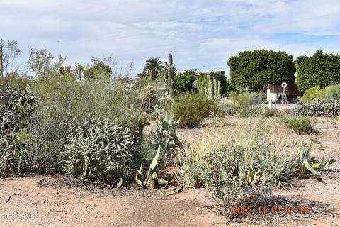 6117 E Anaheim St, Mesa, AZ 85205 photo 20