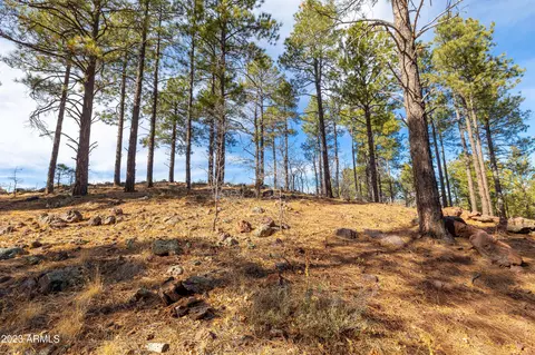 4085 S Lariat Loop, Flagstaff, AZ 86005 photo 65