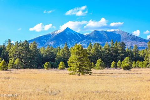 4480 Hidden Hollow Rd #-, Flagstaff, AZ 86001