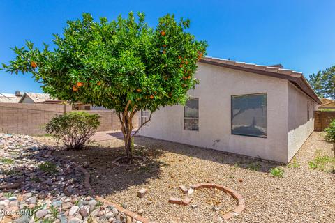4238 E Morrow Dr, Phoenix, AZ 85050 photo 25