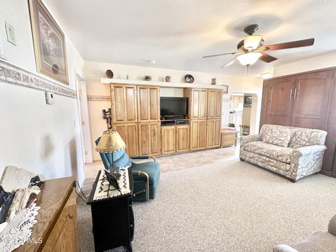 709 S Felspar Dr, Apache Junction, AZ 85119 photo 22