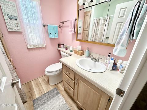 709 S Felspar Dr, Apache Junction, AZ 85119 photo 49