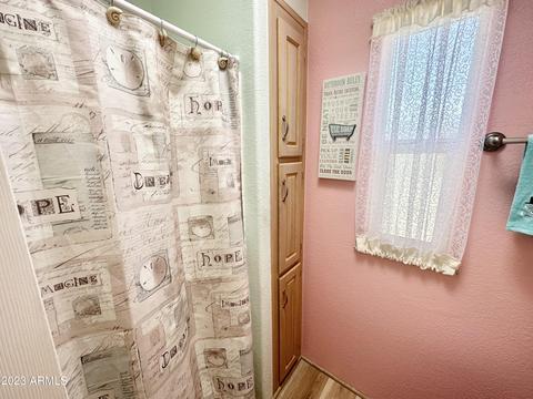 709 S Felspar Dr, Apache Junction, AZ 85119 photo 50