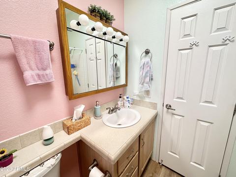709 S Felspar Dr, Apache Junction, AZ 85119 photo 52