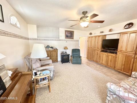 709 S Felspar Dr, Apache Junction, AZ 85119 photo 26