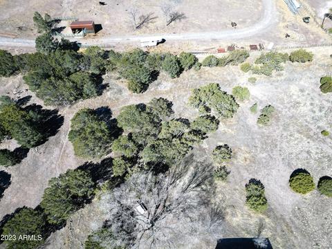 827 E 1st Ln, Eagar, AZ 85925 photo 53