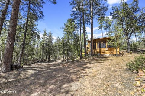 219 E Kit Fox Pass, Payson, AZ 85541 photo 24