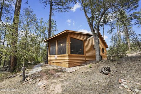 219 E Kit Fox Pass, Payson, AZ 85541 photo 5
