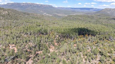 219 E Kit Fox Pass, Payson, AZ 85541 photo 29