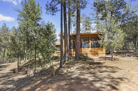 219 E Kit Fox Pass, Payson, AZ 85541 photo 6