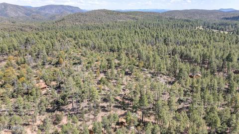 219 E Kit Fox Pass, Payson, AZ 85541 photo 28