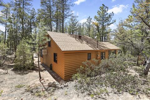 219 E Kit Fox Pass, Payson, AZ 85541 photo 4