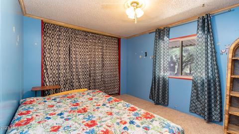2570 E Scenic St, Apache Junction, AZ 85119 photo 35