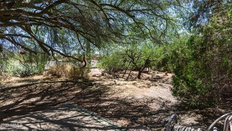 2570 E Scenic St, Apache Junction, AZ 85119 photo 16
