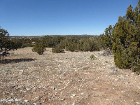 1965 Chevelon Avenue #23, Heber, AZ 85928