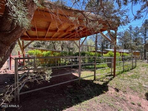 159 W Mockingbird Ln, Payson, AZ 85541 photo 19