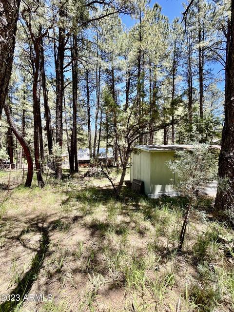 159 W Mockingbird Ln, Payson, AZ 85541 photo 21