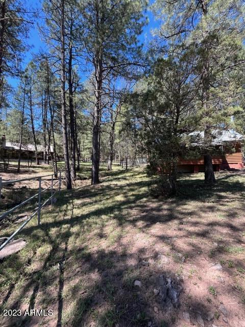 159 W Mockingbird Ln, Payson, AZ 85541 photo 20