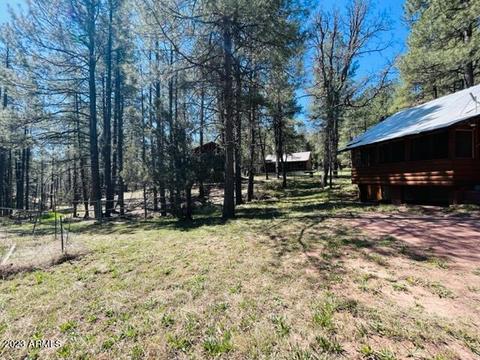 159 W Mockingbird Ln, Payson, AZ 85541 photo 18
