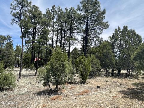 2218 Forest Park Dr #40, Overgaard, AZ 85933