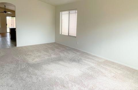 11032 E Delta Ave, Mesa, AZ 85208 photo 5