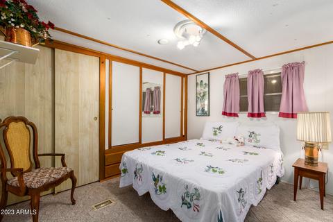 7417 E Irwin Ave, Mesa, AZ 85209 photo 6