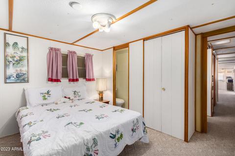 7417 E Irwin Ave, Mesa, AZ 85209 photo 30