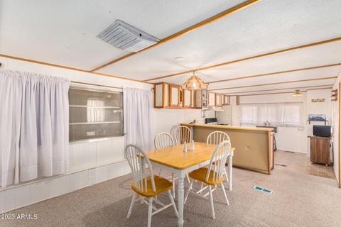 7417 E Irwin Ave, Mesa, AZ 85209 photo 23