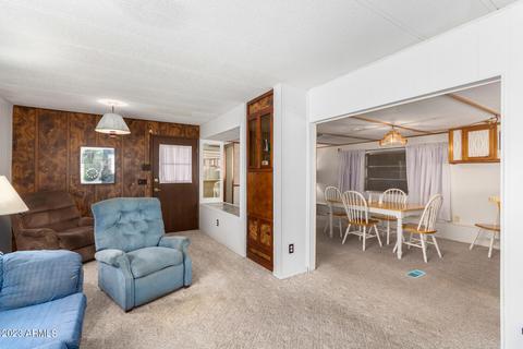 7417 E Irwin Ave, Mesa, AZ 85209 photo 19
