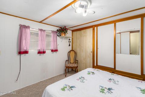 7417 E Irwin Ave, Mesa, AZ 85209 photo 31