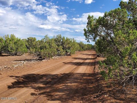 9058 Texas Ln #-, White Mountain Lake, AZ 85912