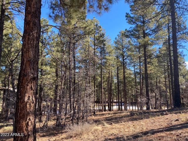 4120 S Lariat Lot 80 Loop #80, Flagstaff, AZ 86005