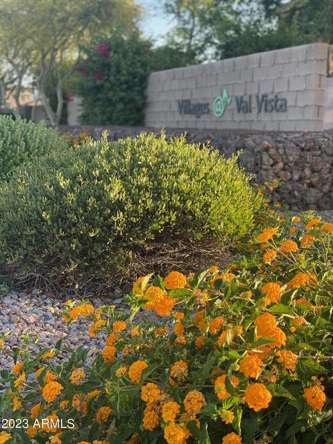 4255 S Boulder St, Gilbert, AZ 85297 photo 47