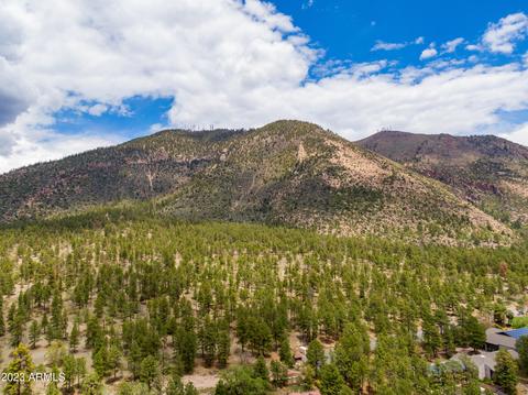 3475 NE Rainier Loop, Flagstaff, AZ 86004 photo 49