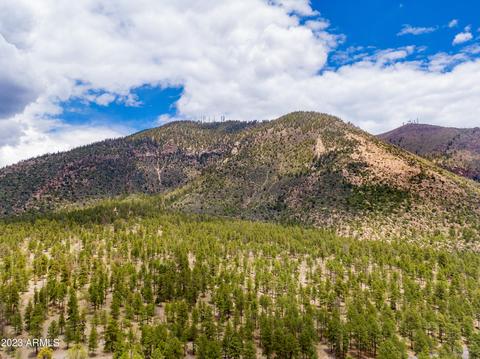 3475 NE Rainier Loop, Flagstaff, AZ 86004 photo 50