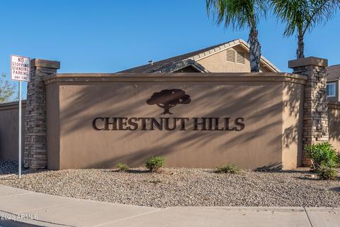 2065 S Marble St, Gilbert, AZ 85295 photo 55