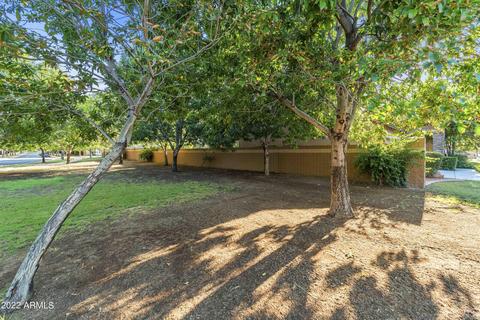 4075 E Page Ave, Gilbert, AZ 85234 photo 5