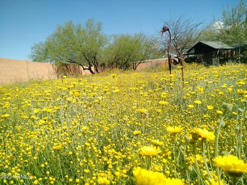 2222 E Maddock Rd, Phoenix, AZ 85086 photo 42