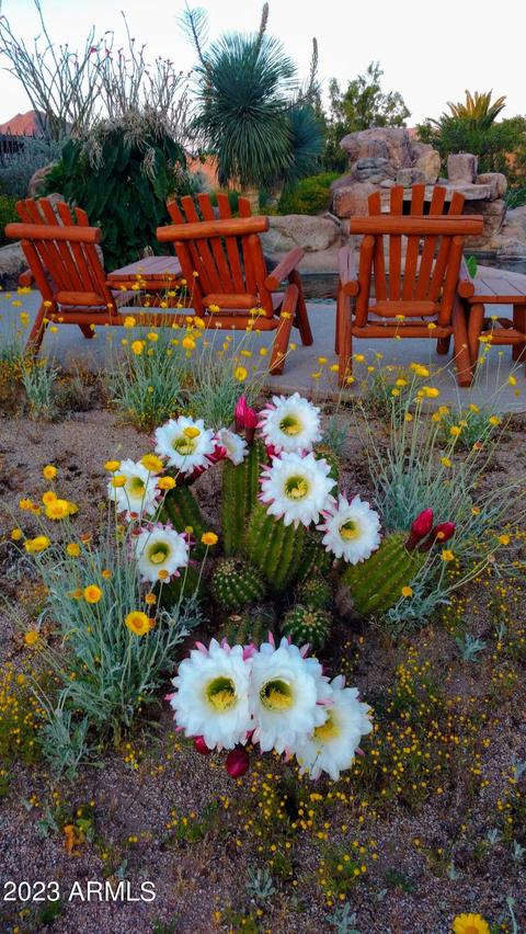 2222 E Maddock Rd, Phoenix, AZ 85086 photo 29