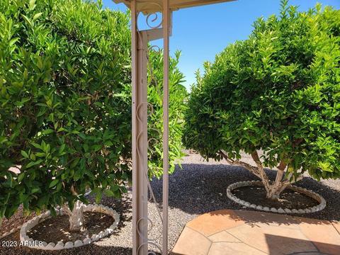 4746 E Carmel Ave, Mesa, AZ 85206 photo 19