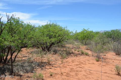 01 S Tenaya Ln S # C, Bisbee, AZ 85603