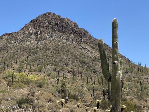 462 N Nn N 34th Ave #-, New River, AZ 85087
